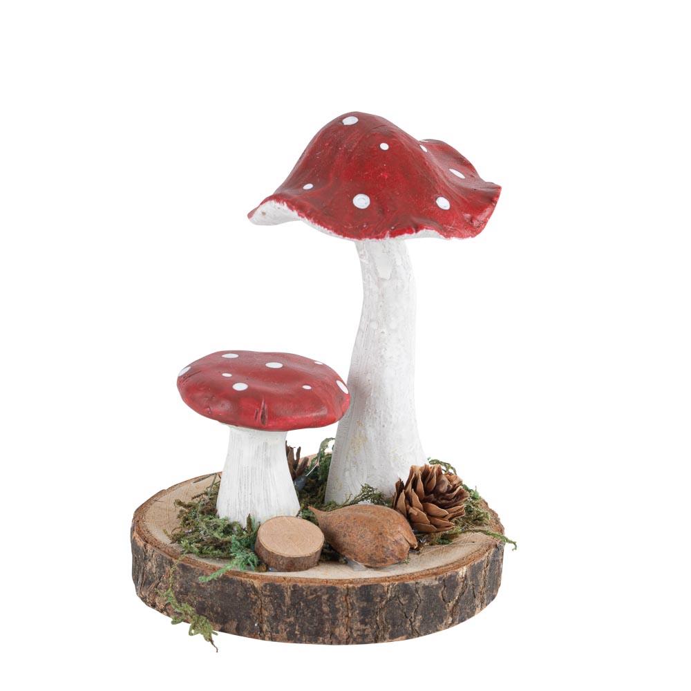img_6