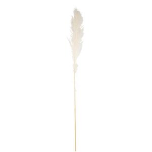 Beauty Home Αποξηραμένο κλαδί Pampas Εκρού 1,25 – 1,35 m