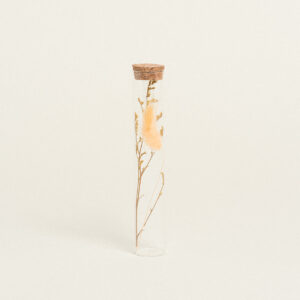 Beauty Home ΓΥΑΛΙΝΟΣ ΣΩΛΗΝΑΣ ΜΕ ΚΛΑΔΙΑ 3 x 18 cm