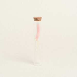 Beauty Home ΓΥΑΛΙΝΟΣ ΣΩΛΗΝΑΣ ΜΕ ΚΛΑΔΙΑ 3 x 18 cm
